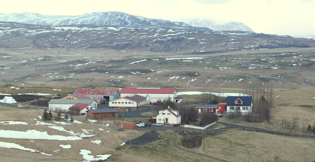 Guesthouse Steinsholt Dış mekan fotoğraf